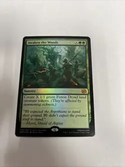 Awaken The Woods Foil Brothers War Card #170 MTG LP - Image 1
