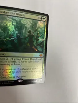 Awaken The Woods Foil Brothers War Card #170 MTG LP - Image 2