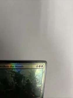 Awaken The Woods Foil Brothers War Card #170 MTG LP - Image 3