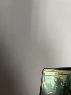 Awaken The Woods Foil Brothers War Card #170 MTG LP - Image 4