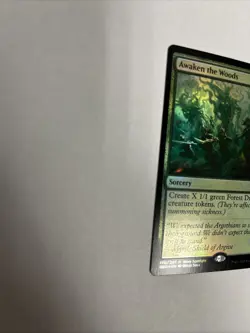 Awaken The Woods Foil Brothers War Card #170 MTG LP - Image 5