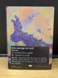 MTG EOS Poster Stellar Sights 84 - Stirring Wildwood FOIL FR - NM French - Image 1