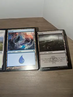 MTG Basic Land Lot (Approx. 600) 2 Lbs 5.7 Oz (Read Description) - Image 4
