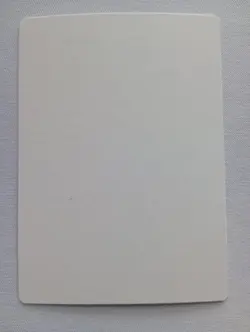 Mountain Foil Signed Artist Proof MTG - Image 2