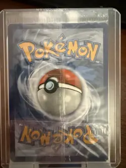 Pokemon TCG Pikachu V SWSH145 Black Star Promo Sealed Sword & Shield - Image 2
