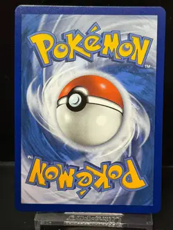 Pikachu V-Union - SWSH141 Holofoil SWSH: Sword & Shield Promo Cards Promo - Image 2