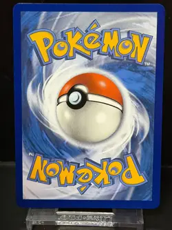 Pikachu V - SWSH061 Holofoil SWSH: Sword & Shield Promo Cards Promo - Image 2