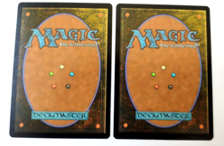 2x Frenzied Baloth - Edge of Eternities (EOE) - EN - R 0183 - Image 2