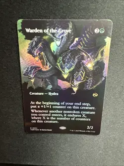 Warden of the Grove (Borderless) Tarkir: Dragonstorm Foil 0351 2025 MTG Card NM - Image 5
