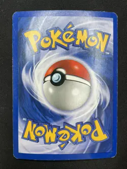 Pokemon Delibird 5/64 Neo Revelation Rara Holo Prima Edizione Wizards IT Vintage - Image 2