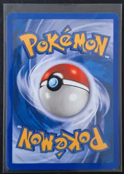 Pokemon - Charmander 97/165 - Common - Expedition - Mint - Image 2