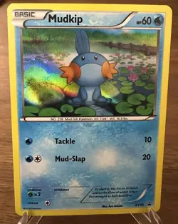 Mudkip - XY38 - Pokemon XY Promo Holo Rare Card NM - Image 1