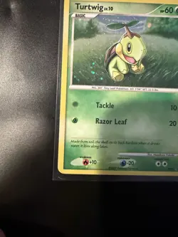 Pokemon TCG Turtwig Holo DP01 Promo Card 2007 LP. Top Swirl. - Image 4