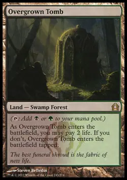 MTG Magic the Gathering Overgrown Tomb (243/286) Return to Ravnica NM - Image 1