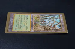 Gaea's Cradle WCD 1999 Matt Linde MTG Reserved List Card - Image 4
