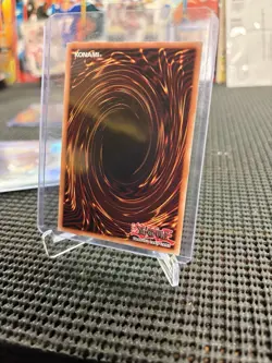 Blue-Eyes White Dragon CT14-EN002 Secret Rare Limited Edition Yugioh TCG Card NM - Image 2