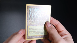 Gaea's Cradle WCD 1999 Matt Linde MTG Card Reserved List - Image 2