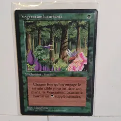 WILD GROWTH (FRENCH BB) --- MTG -- 4th. Ed. FOREIGN --- NM - Image 1