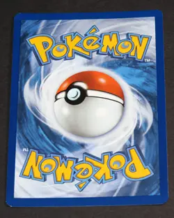 Light Toxtricity SWSH137 Black Star PROMO Pokemon Celebrations 25th NM Holo - Image 2