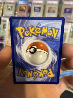 Pokemon TCG Hisuian Basculin SWSH Black Star Promos SWSH273 Holo Promo - Image 2