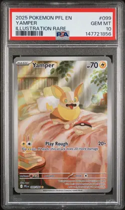2025 Pokemon Phantasmal Flames Yamper Illustration Rare #099/094 PSA 10 GEM MINT - Image 1