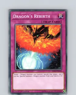 Yu-Gi-Oh TCG Dragon's Rebirth SS02-ENA16 1st Edition Regular Common Card NM - Image 1