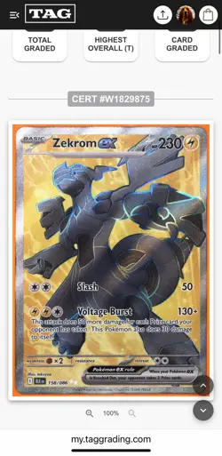 19x UR IR MB Lot - Pokemon Cards Black Bolt Hits Lot - Audino 151, Zekrom ex TAG - Image 5