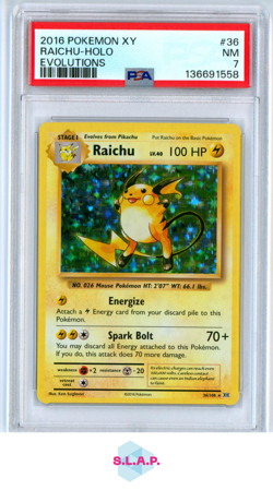 RAICHU-HOLO EVOLUTIONS POKEMON XY EVOLUTIONS 2016 36 PSA 7 - Image 1