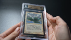 Island Sanctuary BGS 9.5 Beta MTG Graded Magic Card - Image 2