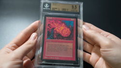 Fireball BGS 9.5 Beta MTG Graded Magic Card - Image 2