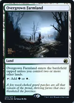 1x Overgrown Farmland - Foil - Prerelease Promo Light Play, English Prerelease P - Image 1