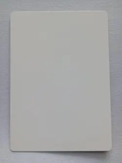 Evolving Wilds Duel Decks: Elspeth vs. Kiora Signed Artist Proof MTG - Image 2