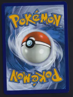 Pokemon TCG Surfer 187/191 STAFF Stamped Regional Championship Promo Card - Image 2