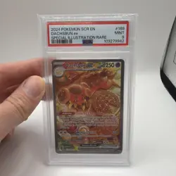 2024 Pokemon SCR Stellar Crown Dachsbun Ex Special Illustration Rare #169 PSA 9 - Image 1