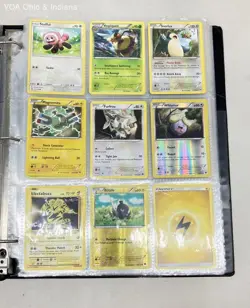 Pokemon Card Lot Ash's Pikachu SM111 Promo Zeraora V Entei EX GX Binder 50ct - Image 1