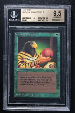 Natural Selection BGS 9.5 Beta MTG Graded Magic Card - Image 1