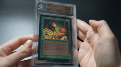 Natural Selection BGS 9.5 Beta MTG Graded Magic Card - Image 2