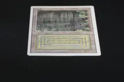 Bayou Magic Card Dual Land Revised MTG Reserved List - Image 5