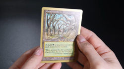Gaea's Cradle WCD 1999 Matt Linde MTG Reserved List Magic Card - Image 2