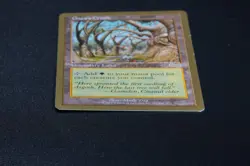 Gaea's Cradle WCD 1999 Matt Linde MTG Reserved List Magic Card - Image 5