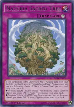Naturia Sacred Tree - NECH-EN076 - Rare - Unlimited Edition - Moderately Played - Image 1