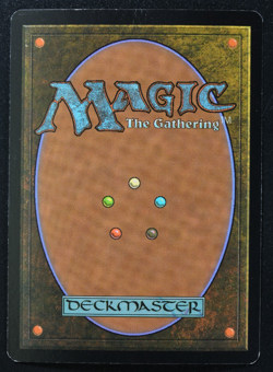 Mutavault Foil Magic Card Champs & States Full Art Promo MTG - Image 3
