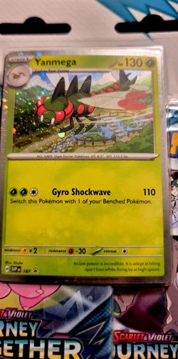4x! Pokemon Ascended Heros Mega Evolution JTG pack Blister Sealed lot TCG order - Image 3
