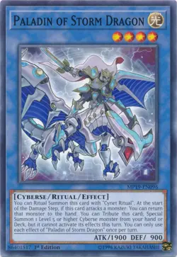 Paladin of Storm Dragon - MP19-EN096 - Common - 1st Edition - Lightly Played - 2 - Image 1