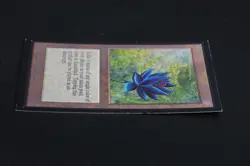 Black Lotus Power 9 Magic Card International Collectors' Edition ICE MTG - Image 4
