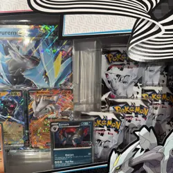 *SHIPS NOW* Pokemon TCG: Unova Heavy Hitters Premium Collection 2-pack In Hand - Image 4