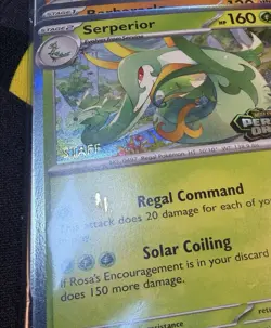 Pokemon Perfect Order STAFF Prerelease Promo - Sealed Set - Additional Gold Ink - Image 2