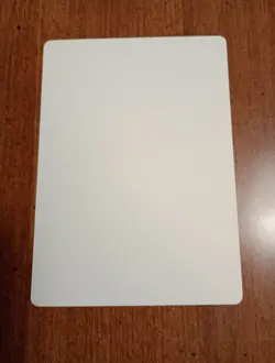 1994 MTG - Legends - WALL OF SHADOWS(AP) - Pete Venters Signed Artist Proof - NM - Image 2