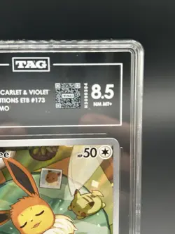 Eevee 173 SV: Scarlet & Violet Promo Cards Holo TAG 8.5 NM MT+ | CERT: N3090304 - Image 3