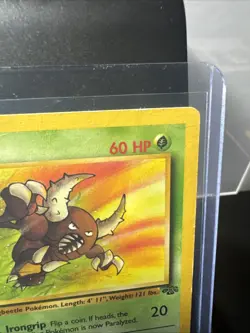 Pokemon TCG Pinsir Jungle Set Holo Card 9/64 Unlimited Non-Holo 25/64 - Image 3